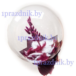 Воздушный шар Сфера (Баблс) с перьями и Лагурусом (Цвет лагуруса может быть другим)