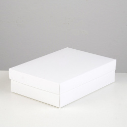 Коробка подарочная для макарун белая 21*15*5 см.